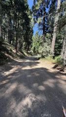 34207243 Mojave River Rd., Cedarpines Park, CA 92322