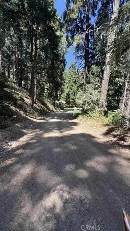 34207243 Mojave River Rd., Cedarpines Park, CA 92322