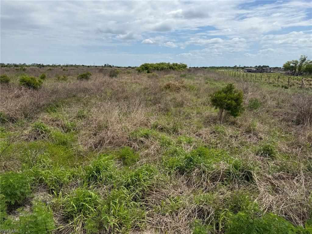 6435 1st RD, LABELLE, FL 33935 — photo 3