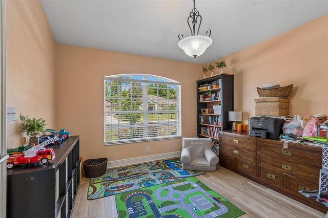 2336 NESSLEWOOD DRIVE, Wesley Chapel, FL 33543