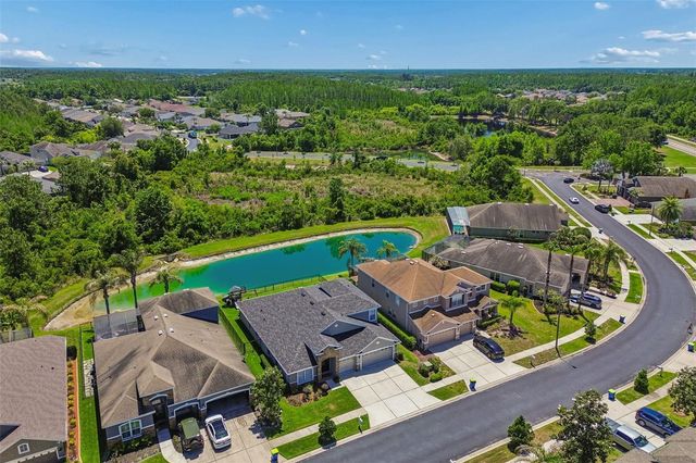 2336 NESSLEWOOD DRIVE, Wesley Chapel, FL 33543