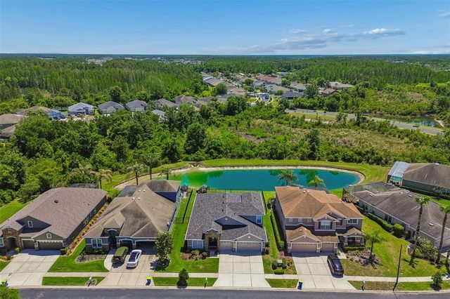 2336 NESSLEWOOD DRIVE, Wesley Chapel, FL 33543