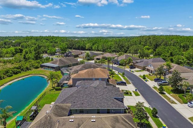 2336 NESSLEWOOD DRIVE, Wesley Chapel, FL 33543