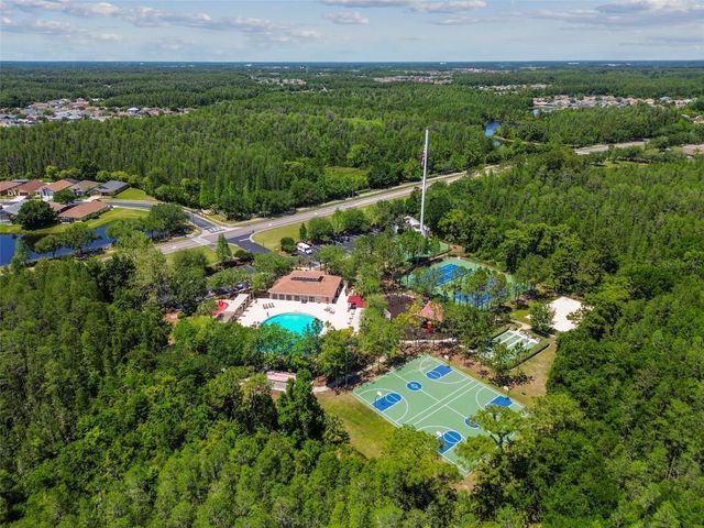 2336 NESSLEWOOD DRIVE, Wesley Chapel, FL 33543