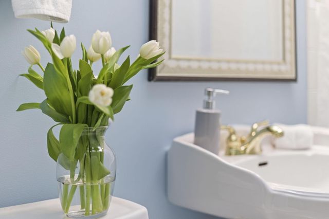 9949 Townline Road, Chikaming Twp, MI 49129