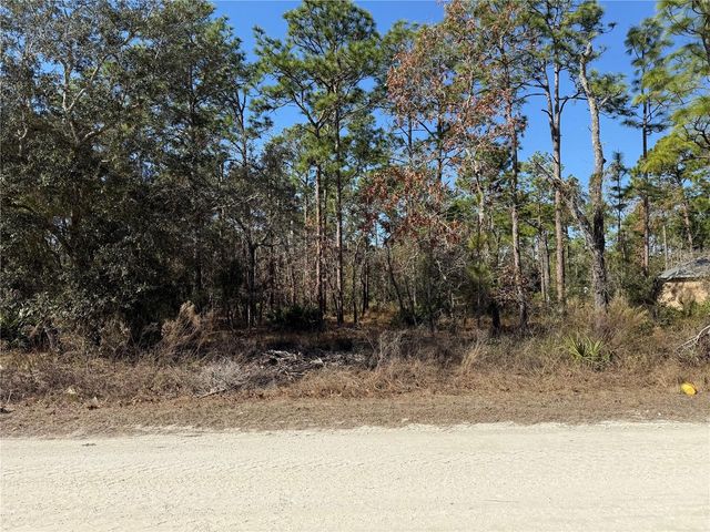 0 MACASSAR ROAD, Weeki Wachee, FL 34614