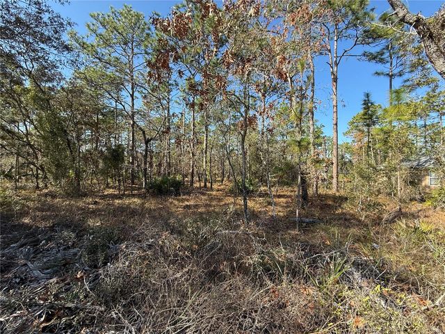 0 MACASSAR ROAD, Weeki Wachee, FL 34614