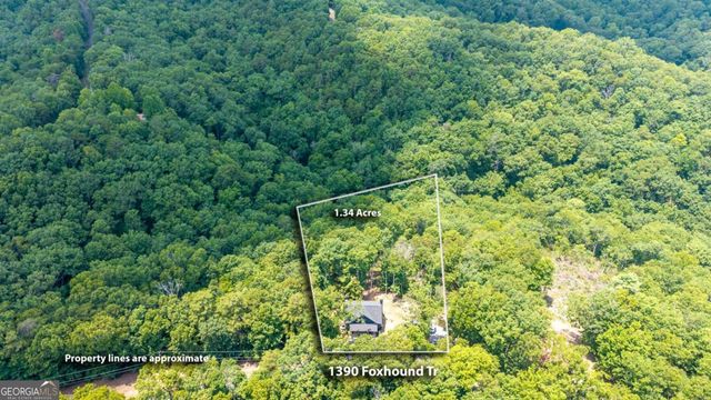 1390 Foxhound Trail NE, Ranger, GA 30734