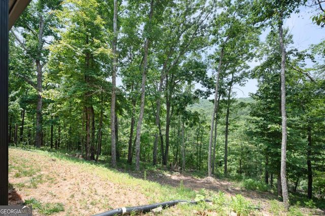 1390 Foxhound Trail NE, Ranger, GA 30734