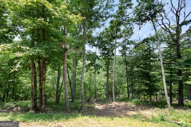 1390 Foxhound Trail NE, Ranger, GA 30734