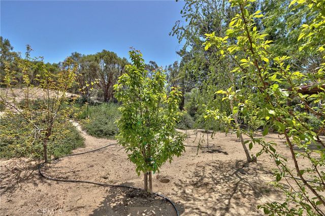 48208 Tanglewood Court, Aguanga, CA 92536