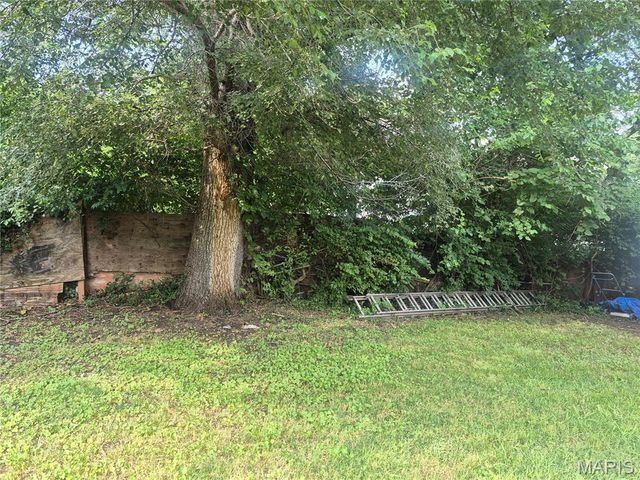 1401 N 54th Street, Washington Park, IL 62204