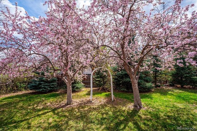 7937 W Chestnut Drive, Littleton, CO 80128