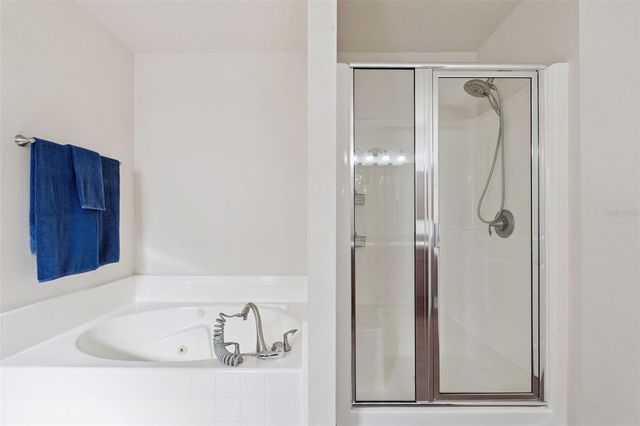 3135 PIZZARO PLACE, Clermont, FL 34715