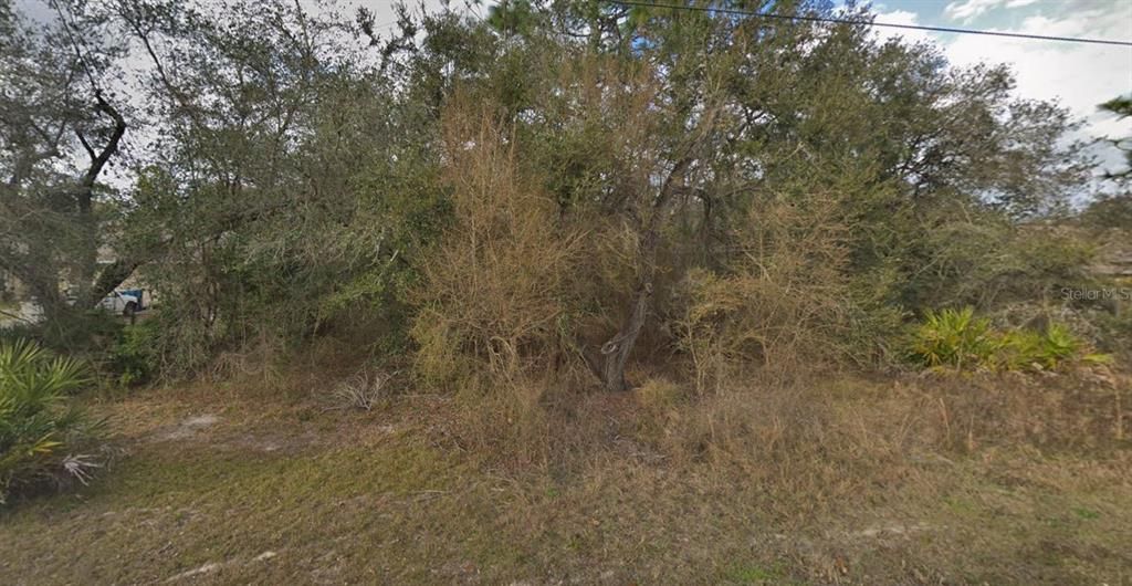 11405 PETREL AVENUE, Weeki Wachee, FL 34614