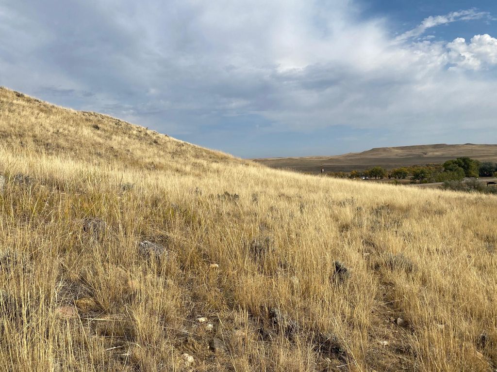 5 Tower Lane, Buffalo, WY 82834 photo 4