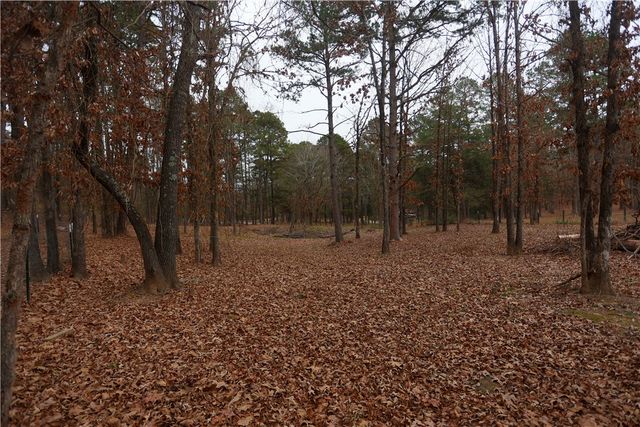 96 S Fork Lane, Dover, AR 72837