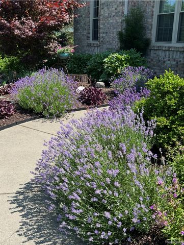 6415 Wailea Court, Grand Blanc Charter Township, MI 48439