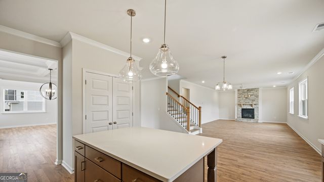 1784 Goodwin Drive, Hampton, GA 30228