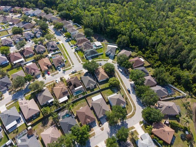 10323 GOLDENBROOK WAY, Tampa, FL 33647