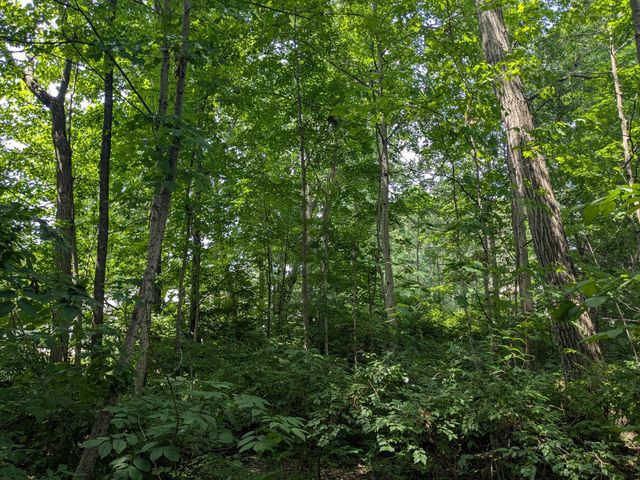 403 Palm Drive, Marysville, OH 43040