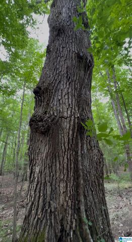 367 MAGNOLIA LANE, Vandiver, AL 35176