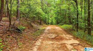 367 MAGNOLIA LANE, Vandiver, AL 35176