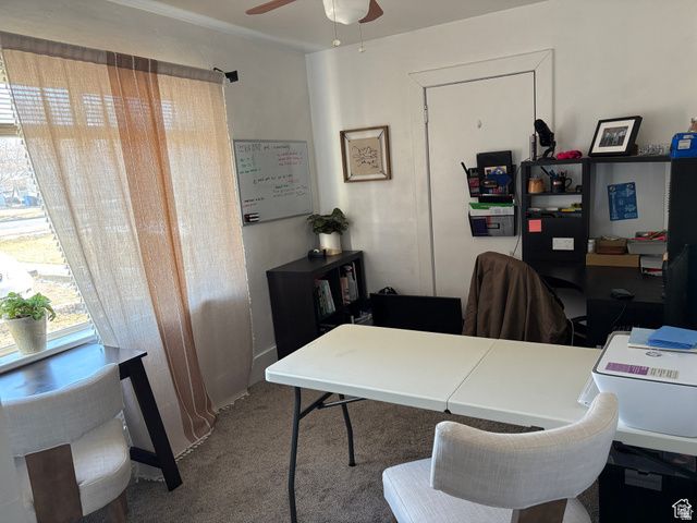 541 N 200 E, Logan, UT 84321