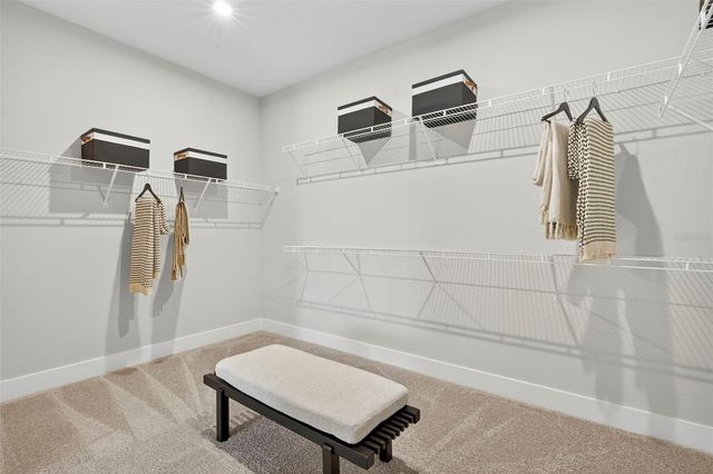 13116 OXEYE LANE, Parrish, FL 34219