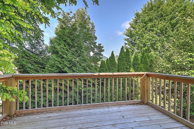 513 Pilgrim Court A, Johnson City, TN 37601