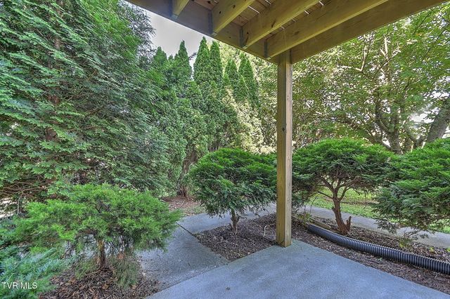 513 Pilgrim Court A, Johnson City, TN 37601