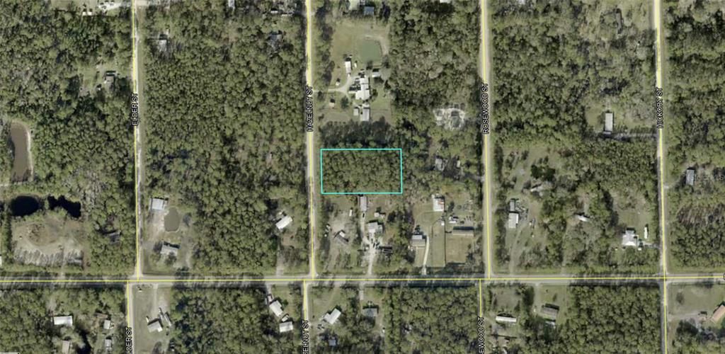 1413 HAZELNUT STREET, Bunnell, FL 32110