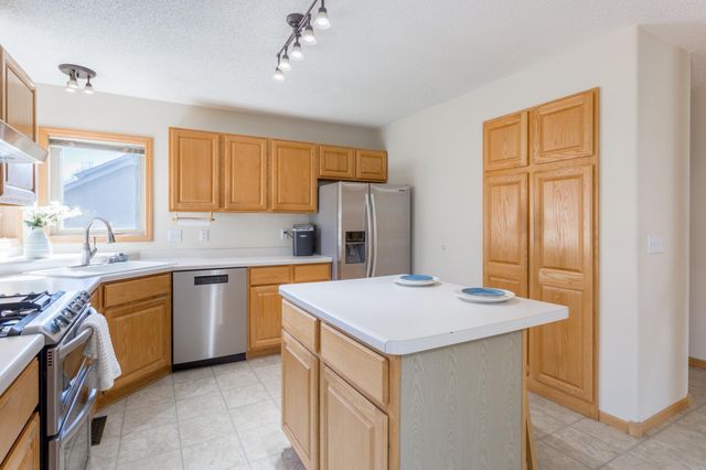 290 Pendryn Hill Overlook, Woodbury, MN 55125