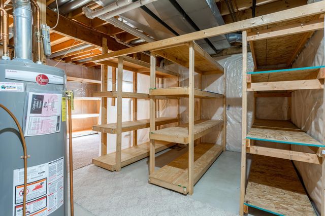 290 Pendryn Hill Overlook, Woodbury, MN 55125