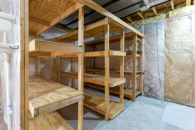 290 Pendryn Hill Overlook, Woodbury, MN 55125