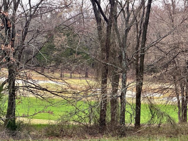 126 Roaring Fork Circle, Gordonville, TX 76245