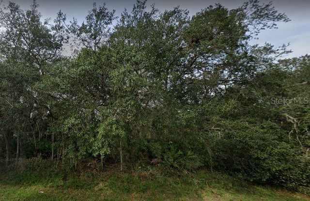 1402 PUNTA GORDA COURT, Poinciana, FL 34759