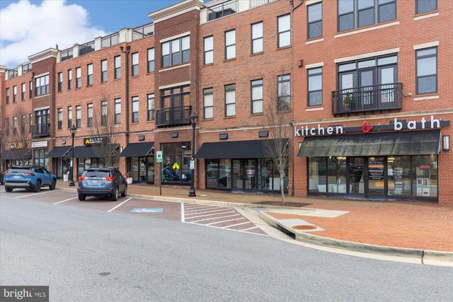 254 BLUEMONT BRANCH TER SE, Leesburg, VA 20175