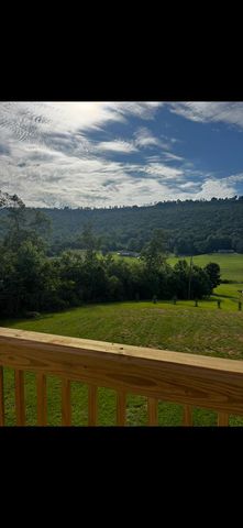 133 N Knobby Road, Trenton, GA 30752