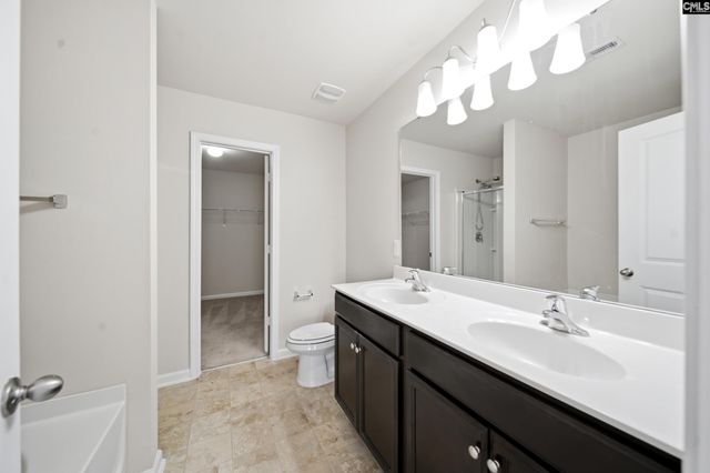 384 Explorer Drive, Chapin, SC 29036