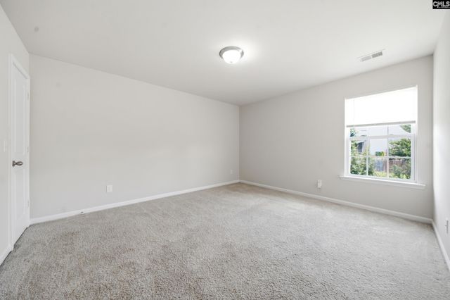 384 Explorer Drive, Chapin, SC 29036