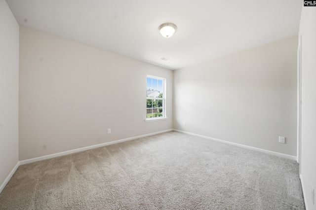 384 Explorer Drive, Chapin, SC 29036