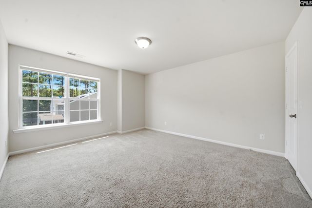 384 Explorer Drive, Chapin, SC 29036