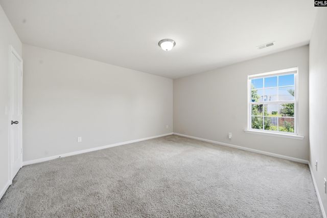 384 Explorer Drive, Chapin, SC 29036