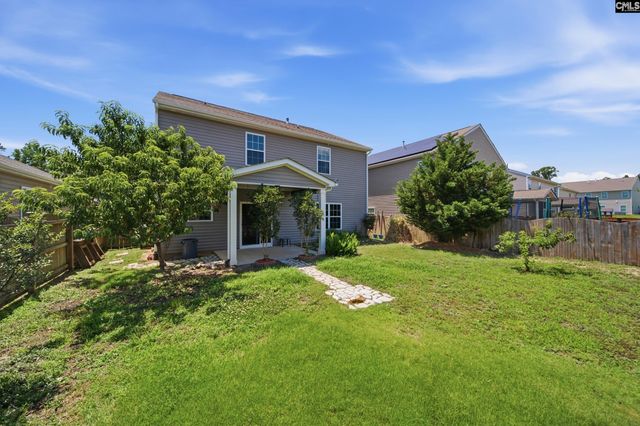 384 Explorer Drive, Chapin, SC 29036