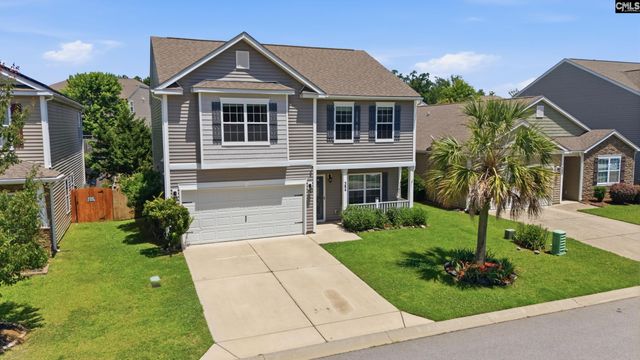 384 Explorer Drive, Chapin, SC 29036