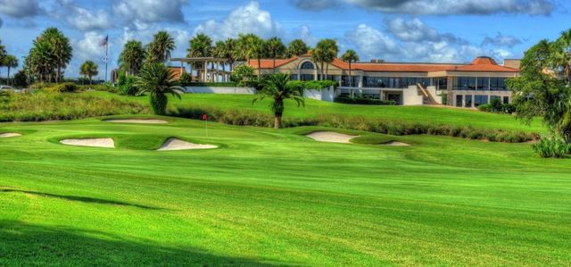 315 SWEET BAY AVENUE, New Smyrna Beach, FL 32168