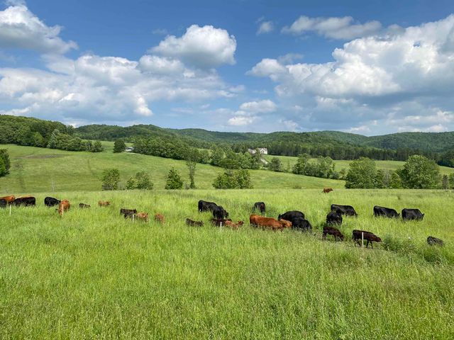 344 Morrie Road, Washington, VT 05675