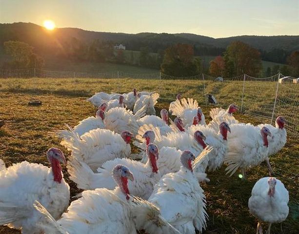 344 Morrie Road, Washington, VT 05675