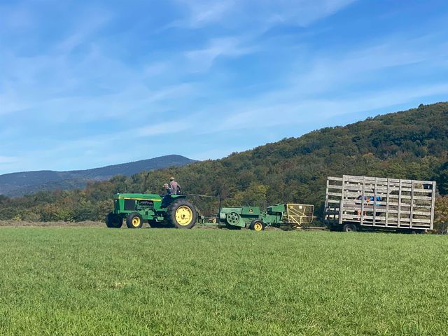 344 Morrie Road, Washington, VT 05675